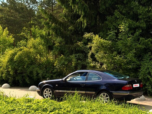 1997 Mercedes-Benz CLK-Класс 230 I (W208), синий, 585000 рублей - вид 2