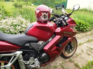 2010 Honda VFR 800, красный, 600000 рублей, вид 5