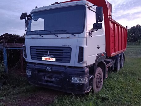 2019 МАЗ 6501, белый, 3480000 рублей, вид 1