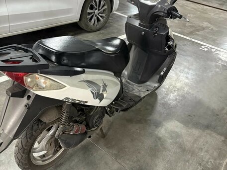 2010 Racer Stells, белый, 55000 рублей, вид 4