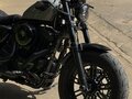 2020 Harley-Davidson Sportster 1200, серый, 1900000 рублей - вид 1