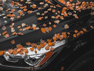 2016 Ford Kuga II Рестайлинг, чёрный, 1480000 рублей, вид 2