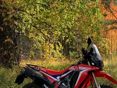 2019 Honda CRF 250L Rally, красный, 490000 рублей, вид 1