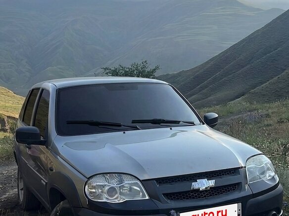 2013 Chevrolet Niva I Рестайлинг, коричневый, 550000 рублей - вид 1