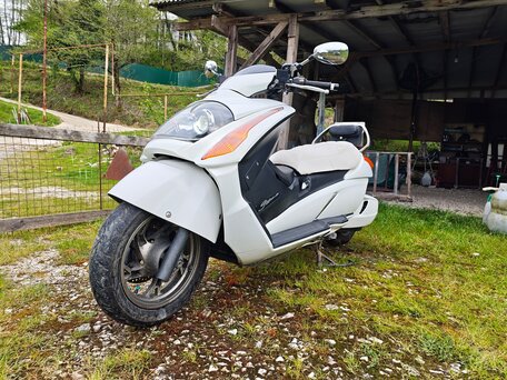 2008 Suzuki Gemma, белый, 310000 рублей, вид 4