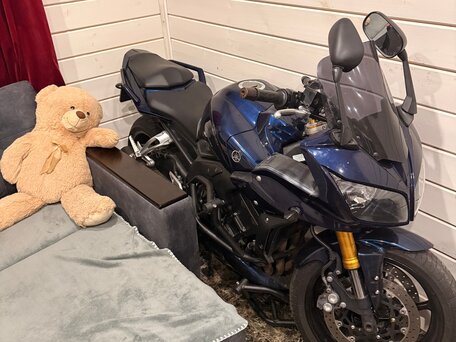 2006 Yamaha FZ1, пурпурный, 670000 рублей, вид 1