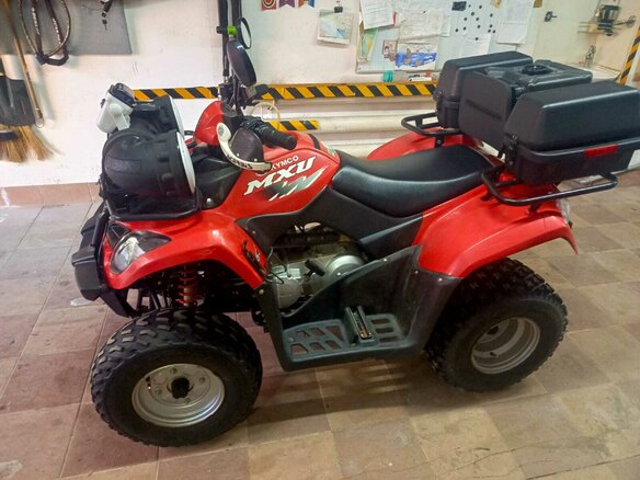 2010 Arctic Cat 300 Series, красный