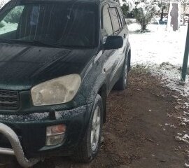 2002 Toyota RAV4 II (XA20), зелёный, 1110000 рублей, вид 2