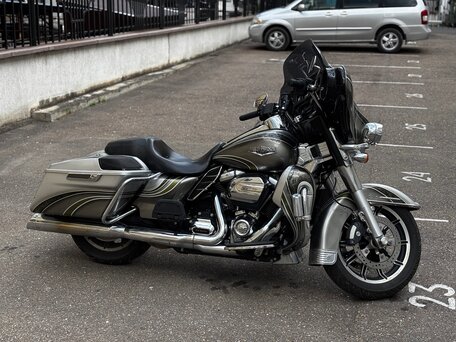 2017 Harley-Davidson Electra Glide, серебристый, 1649500 рублей, вид 2