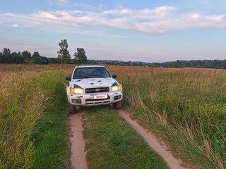 1999 Nissan Pathfinder II, серый, 450000 рублей, вид 2