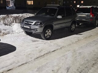 2010 Chevrolet Niva I Рестайлинг, серый, 545000 рублей, вид 2