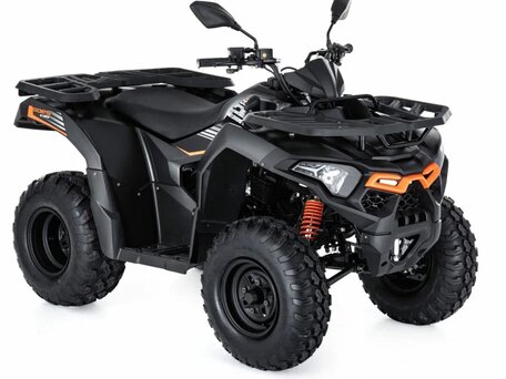 2026 Loncin XWolf 200, чёрный, 275000 рублей, вид 1
