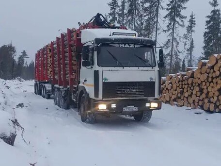 2017 МАЗ 6303, белый, 3900000 рублей, вид 2