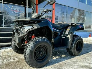 2025 Loncin XWolf 200, чёрный, 250000 рублей, вид 2