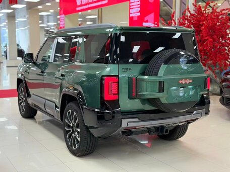 2025 BYD FangChengBao Leopard 8, зелёный, 8400000 рублей, вид 5