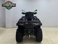 2026 Loncin XWolf 550, чёрный, 817000 рублей - вид 5