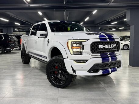 Ford F-150 XIV