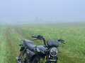 2024 Racer Alpha, чёрный, 65000 рублей - вид 1
