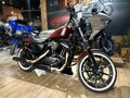 2017 Harley-Davidson Sportster 883, коричневый, 1450000 рублей - вид 11