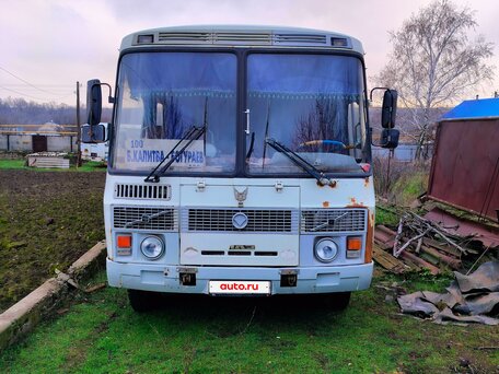 2010 ПАЗ 4234, белый, 600000 рублей, вид 1