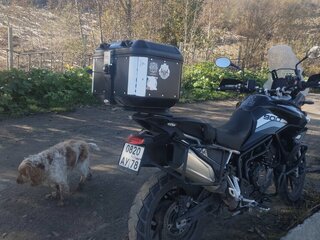 2022 Triumph Tiger 900, чёрный, 985000 рублей, вид 5