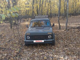 2008 Lada (ВАЗ) 2131 (4x4) I, серый, 297000 рублей, вид 2