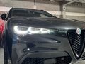2020 Alfa Romeo Stelvio I Рестайлинг, чёрный, 2699000 рублей - вид 1