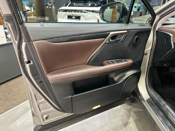 2018 Lexus RX 300 IV, серый, 4150000 рублей - вид 13