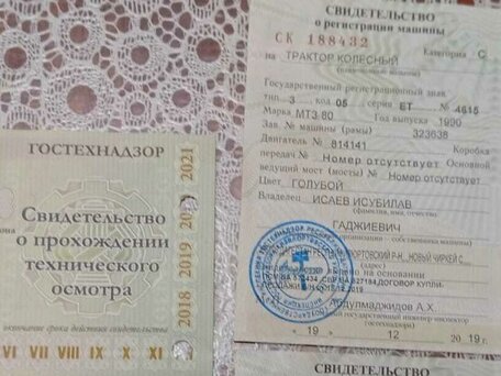1990 МТЗ (BELARUS) 80, голубой, 600000 рублей, вид 5