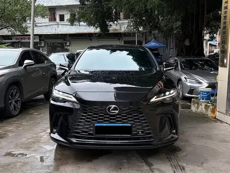2025 Lexus RX 300 V, чёрный, 6453000 рублей, вид 5
