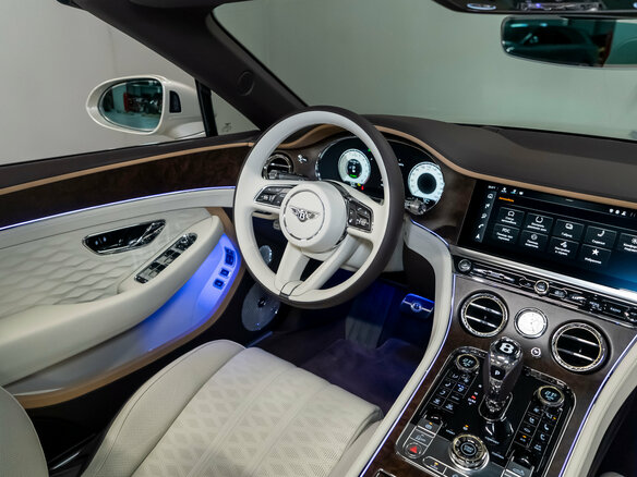 2025 Bentley Continental GT Speed IV, серый, 48865000 рублей - вид 32
