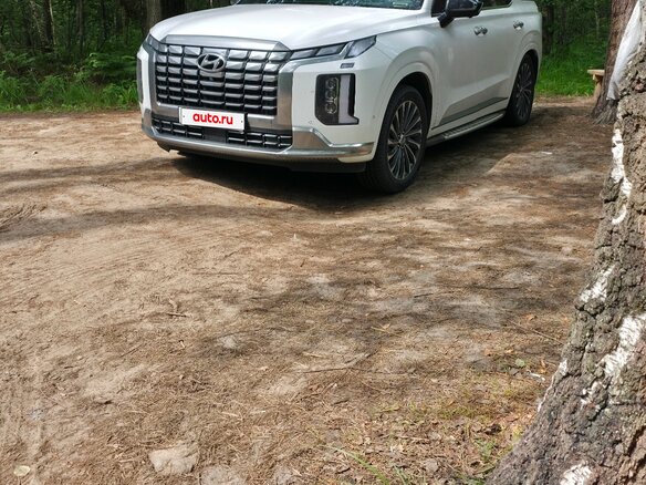 2022 Hyundai Palisade I Рестайлинг, белый, 5920000 рублей - вид 6