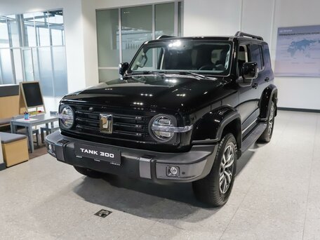 Tank 300 I