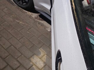 2017 Ford Mustang VI, белый, 1600000 рублей, вид 5