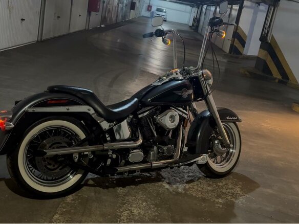 1995 Harley-Davidson Heritage, серый, 900000 рублей - вид 6