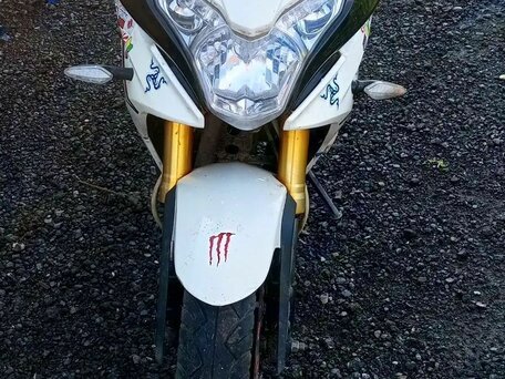2014 S2 Motors Panther CBR250, белый, 85000 рублей, вид 4