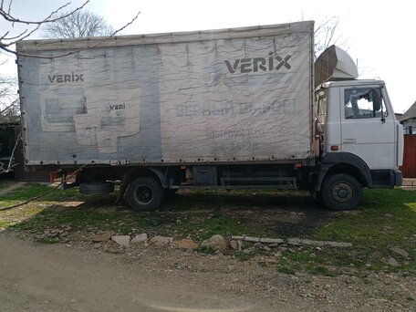 2002 МАЗ 4370, серый, 795000 рублей, вид 4