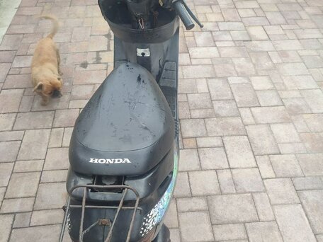 1991 Honda Dio, чёрный, 30000 рублей, вид 5