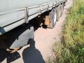 2000 Schmitz Cargobull S01, серебристый, 450000 рублей - вид 8
