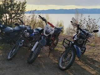 Roliz Banditos