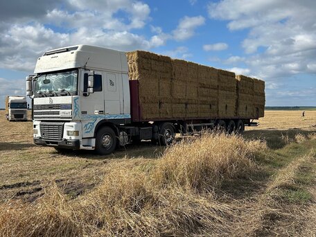 2002 DAF XF 95, белый, 1950000 рублей, вид 1