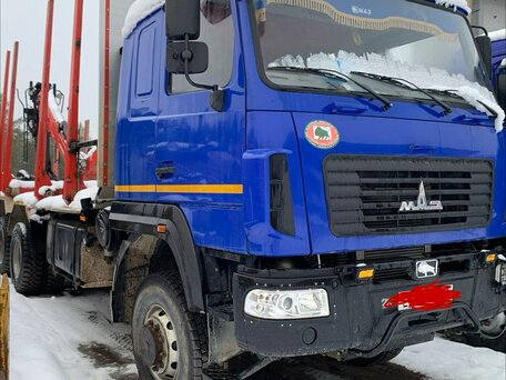 2022 МАЗ 6302, синий, 8000000 рублей, вид 1