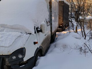 2008 ГАЗ ГАЗель (33023/330273) Фермер, белый, 650000 рублей, вид 3