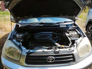 2002 Toyota RAV4 II (XA20), серый, 750000 рублей, вид 1