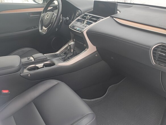 2018 Lexus NX 200 I Рестайлинг, белый, 3600000 рублей - вид 19