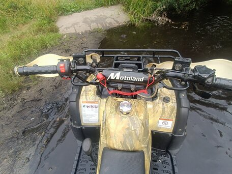 2017 Motoland ATV 125 Fox, золотистый, 100000 рублей, вид 4