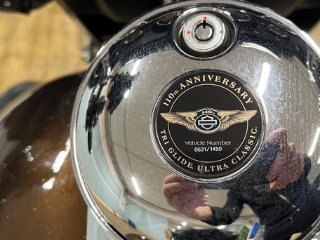2012 Harley-Davidson Tri Glide, коричневый, 3800000 рублей, вид 5