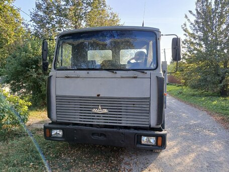 2003 МАЗ 4370, серебристый, 485000 рублей, вид 3