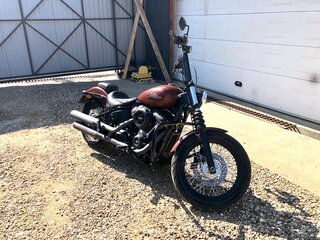 2018 Harley-Davidson Street Bob, коричневый, 1100000 рублей, вид 4