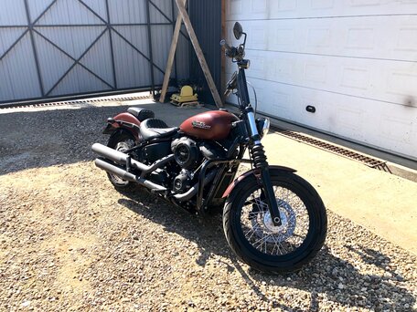 2018 Harley-Davidson Street Bob, коричневый, 1100000 рублей, вид 4